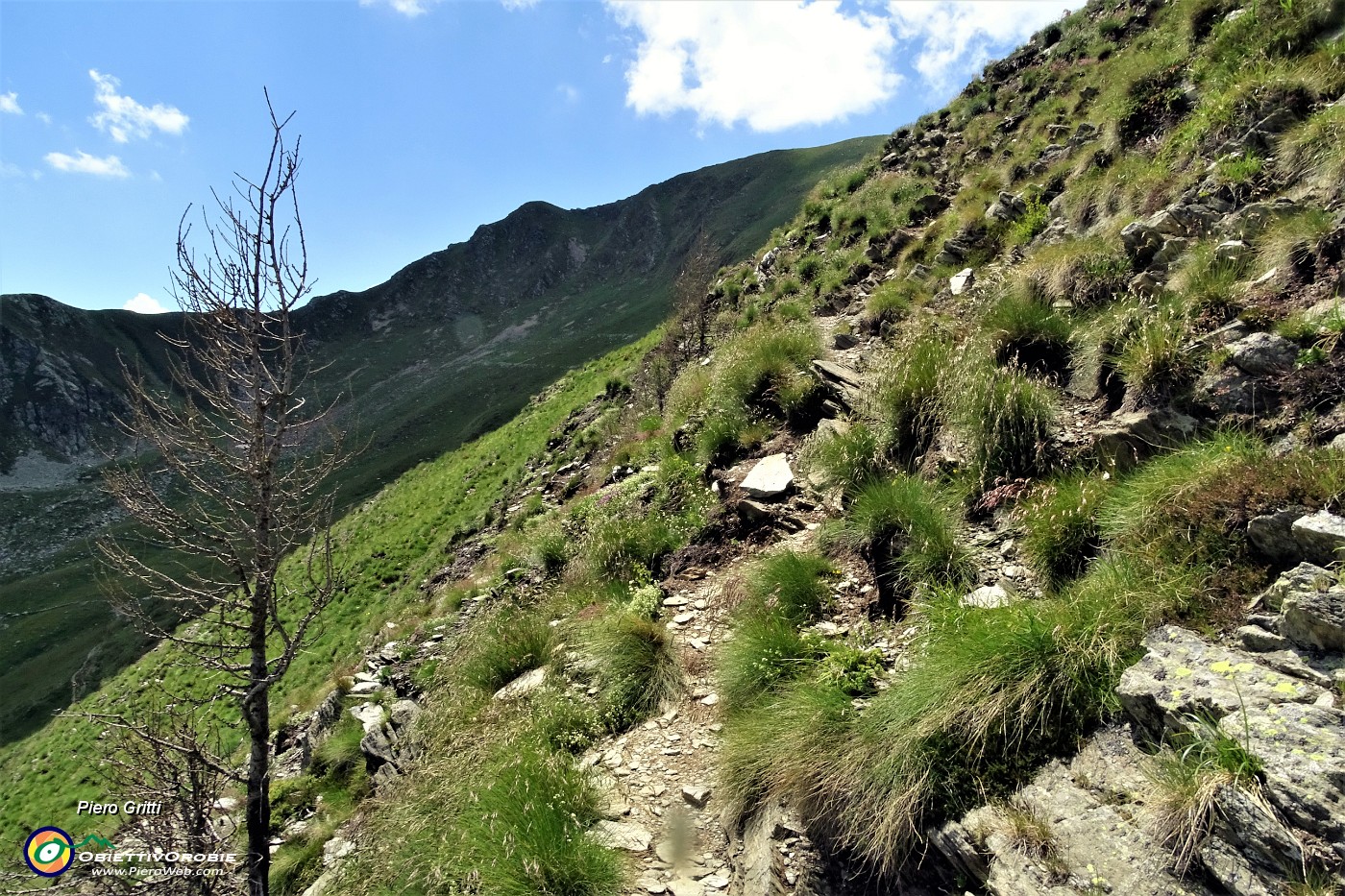 70 Sul sentiero di salita dal Passo di Tartano a Cima di Lemma .JPG -                                